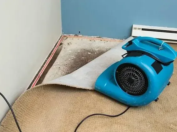 Carpet lifted and an air mover drying a room after water damage