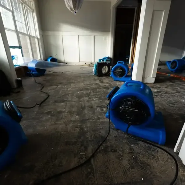 Several blue air movers positioned across an exposed interior floor surface