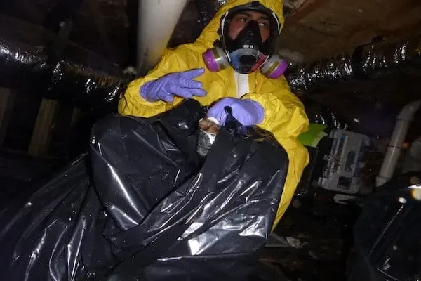 A technician wearing a respirator and protective suit holds a black waste bag